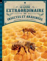 Le livre extraordinaire des insectes et araignées / texte, Barbara Taylor | Taylor, Barbara (1954-....). Auteur