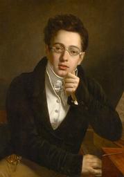 Schubert, le promeneur solitaire / Michel QUAGLIOZZI | Quagliozzi, Michel. Auteur