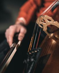 De Turin à Versailles : Parcours de musiciens / Michel Quagliozzi | Quagliozzi, Michel